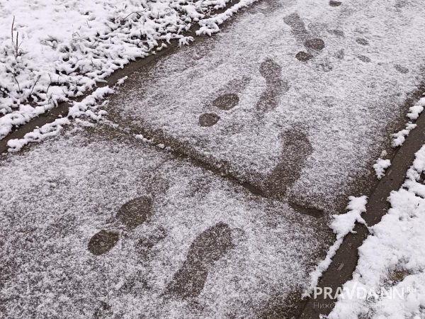 В Гидрометцентре рассказали, что в декабре россиян ожидает мягкая погода